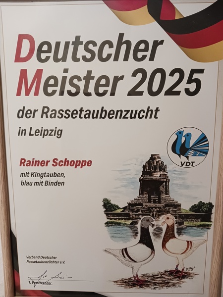 20260329_213330.jpg